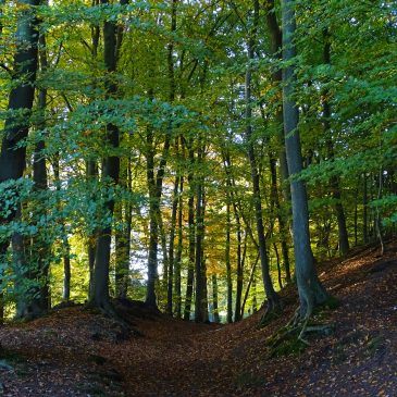 Molecaten (Gelderland)